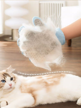 3e0cf4d700274f93a6bbb02498f1de80-Max