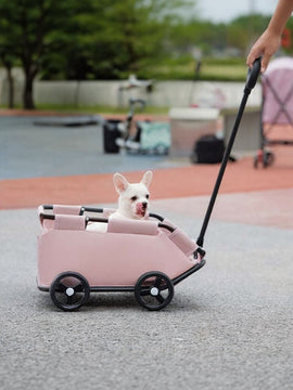 4a117917-8473-4509-9aa1-d02ec5ff0e08-Max