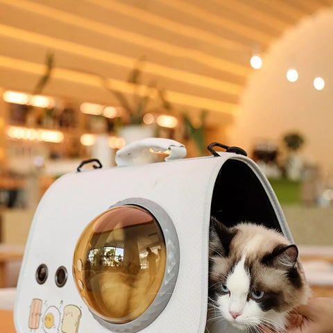 Pet Toys and Outdoors