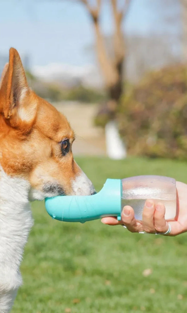Portable Leak-Proof Pet Water Bottle with Drinking Bowl