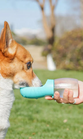 Portable Leak-Proof Pet Water Bottle with Drinking Bowl