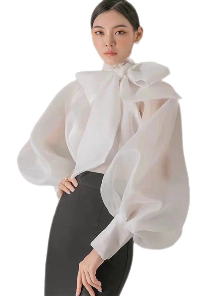 Korean Sle  Knot Bubble Sve irt Women's New 2026 Ele Faionable Chiffon See-tough Top Long Sve Stan...