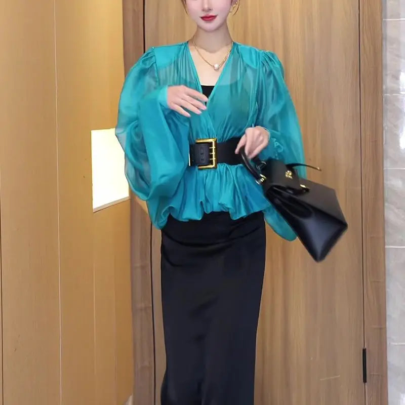 Spring and summer light mesh micro-transparent bubble sleeve shirt women's 2025 spring new high-end temperament V-neck top