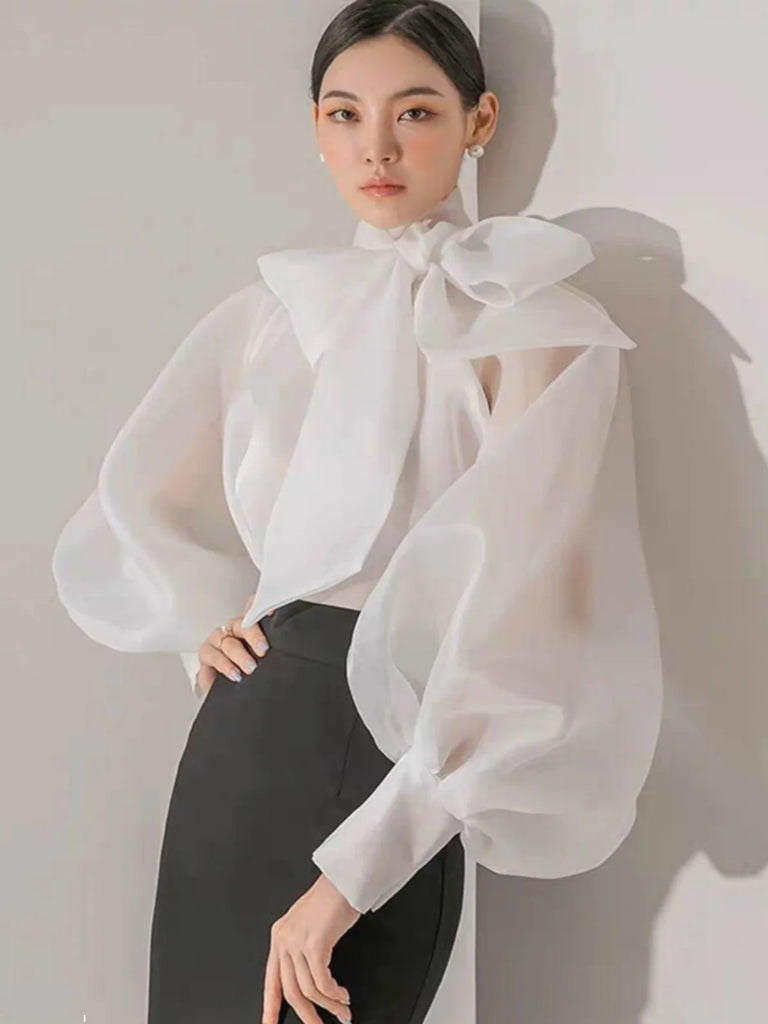 Korean Sle  Knot Bubble Sve irt Women's New 2026 Ele Faionable Chiffon See-tough Top Long Sve Stan...