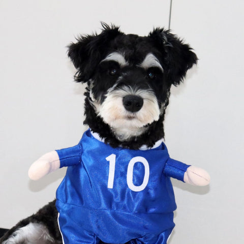 Pet Clothing and Costumes